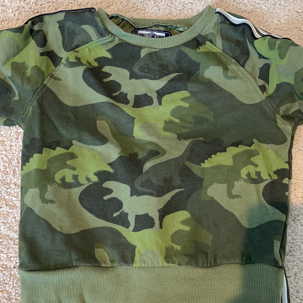 Matching Dinosaur Set 🦖 - Picture 2 of 3